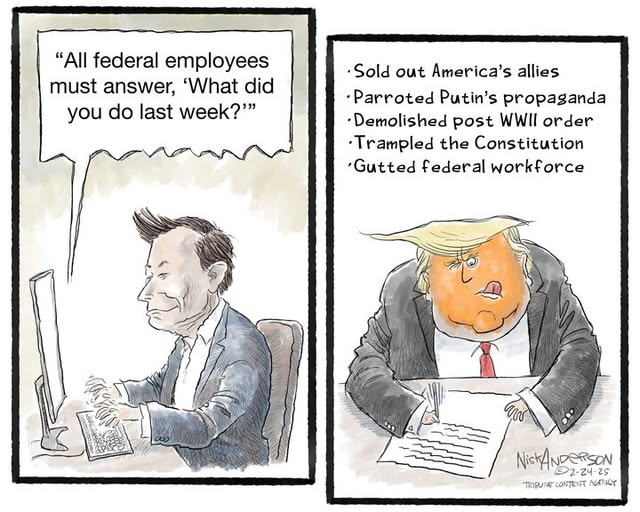 Trump responds to Musk 5 bullets demand