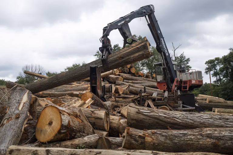 logging