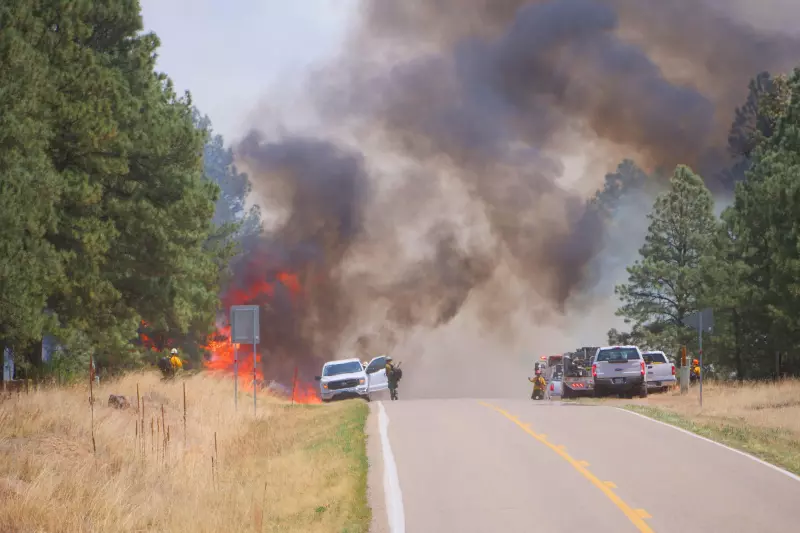 The Hermits Peak fire approaches Highway 434 at Christmas Tree Canyon in New Mexico in 2022