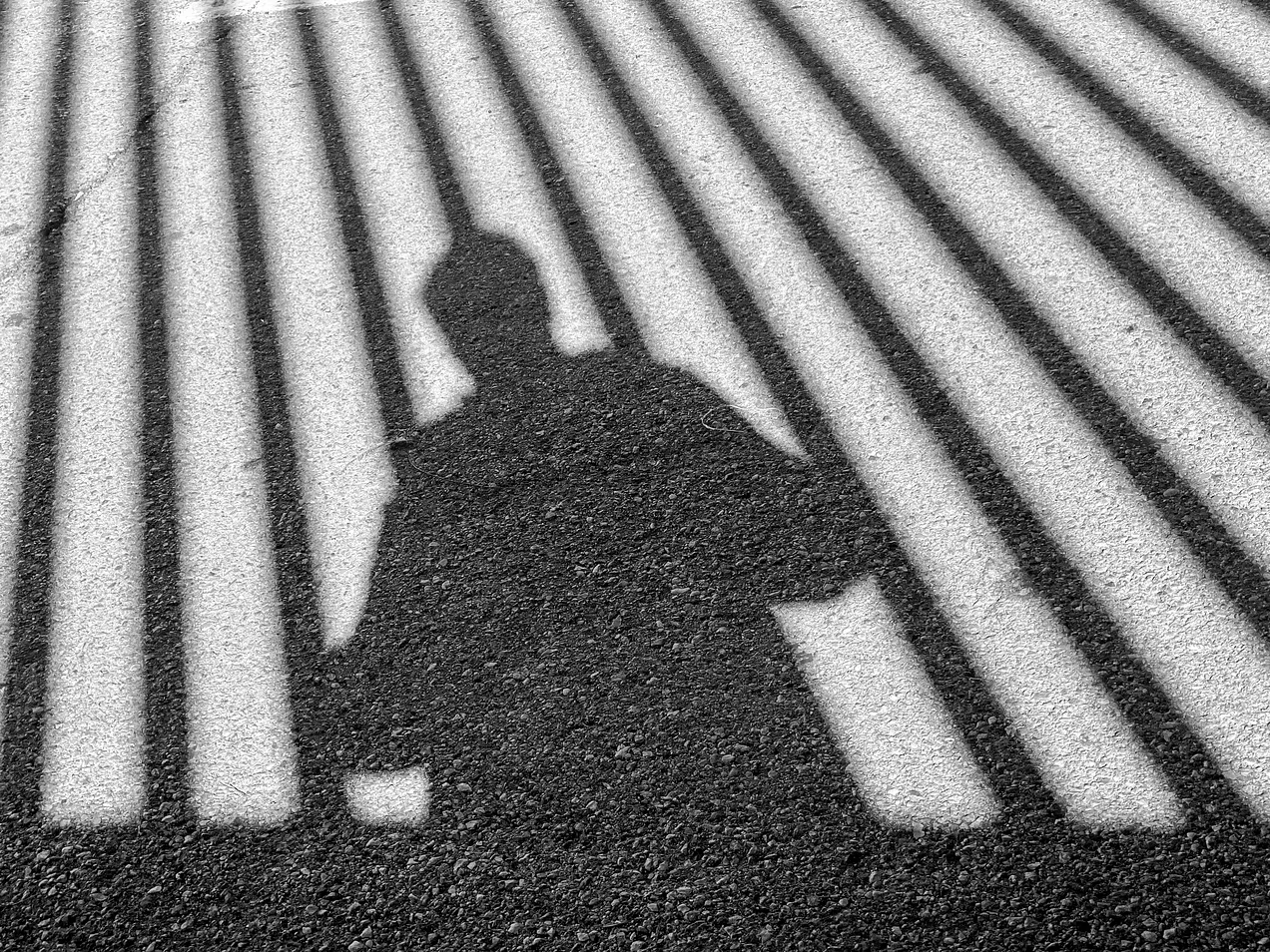 shadow figure behind bars