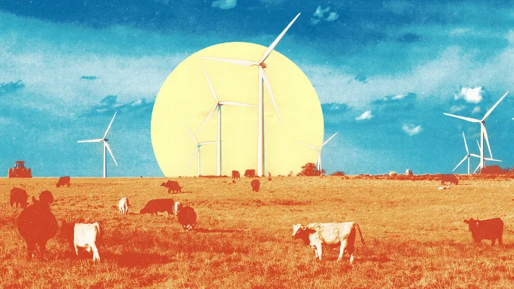wind farm