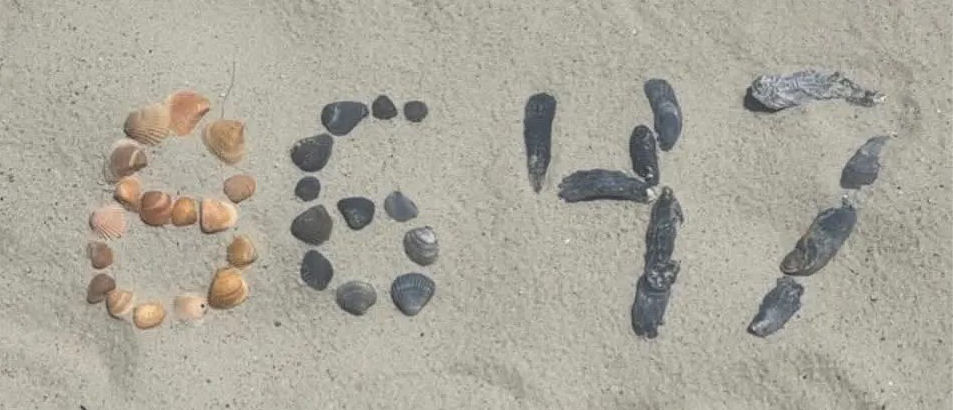 86 47 in the sand