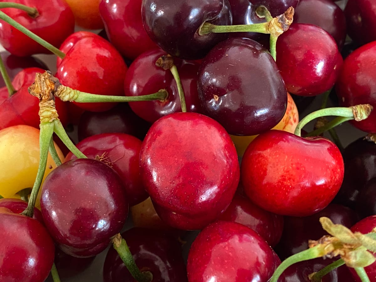 The good news is it's stone fruit season, but for the purposes of this article, let these fresh cherries stand for the term "cherrypicking," as in selecting evidence to serve an agenda. The good news is it's stone fruit season, but for the purposes of this article, let these fresh cherries stand for the term "cherrypicking," as in selecting evidence to serve an agenda.