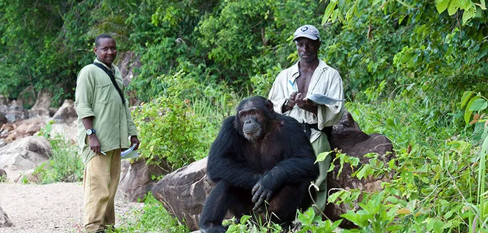 “The New Gombe Masito Ugalla Biosphere Reserve: 3 Reasons We’re Excited About This New UNESCO Designation,” via Jane Goodall Good for All News