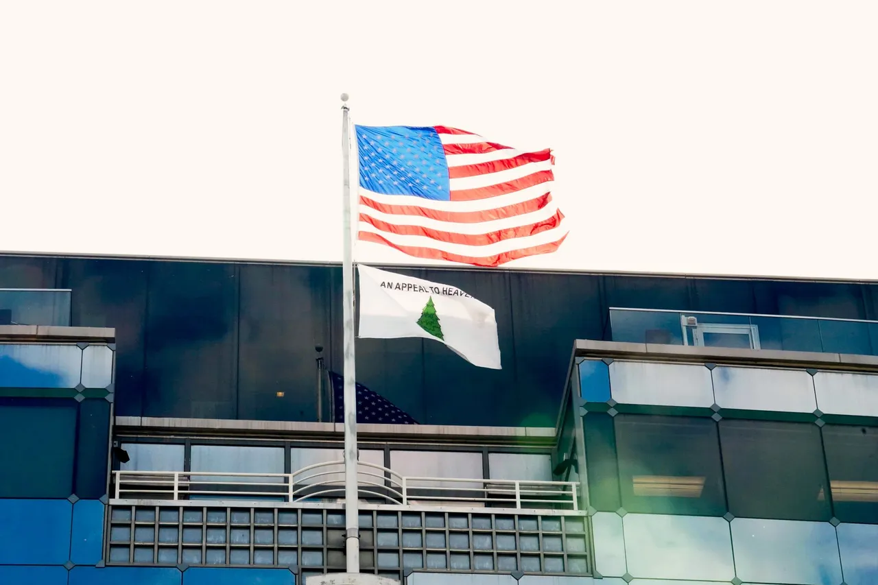 SBA flags