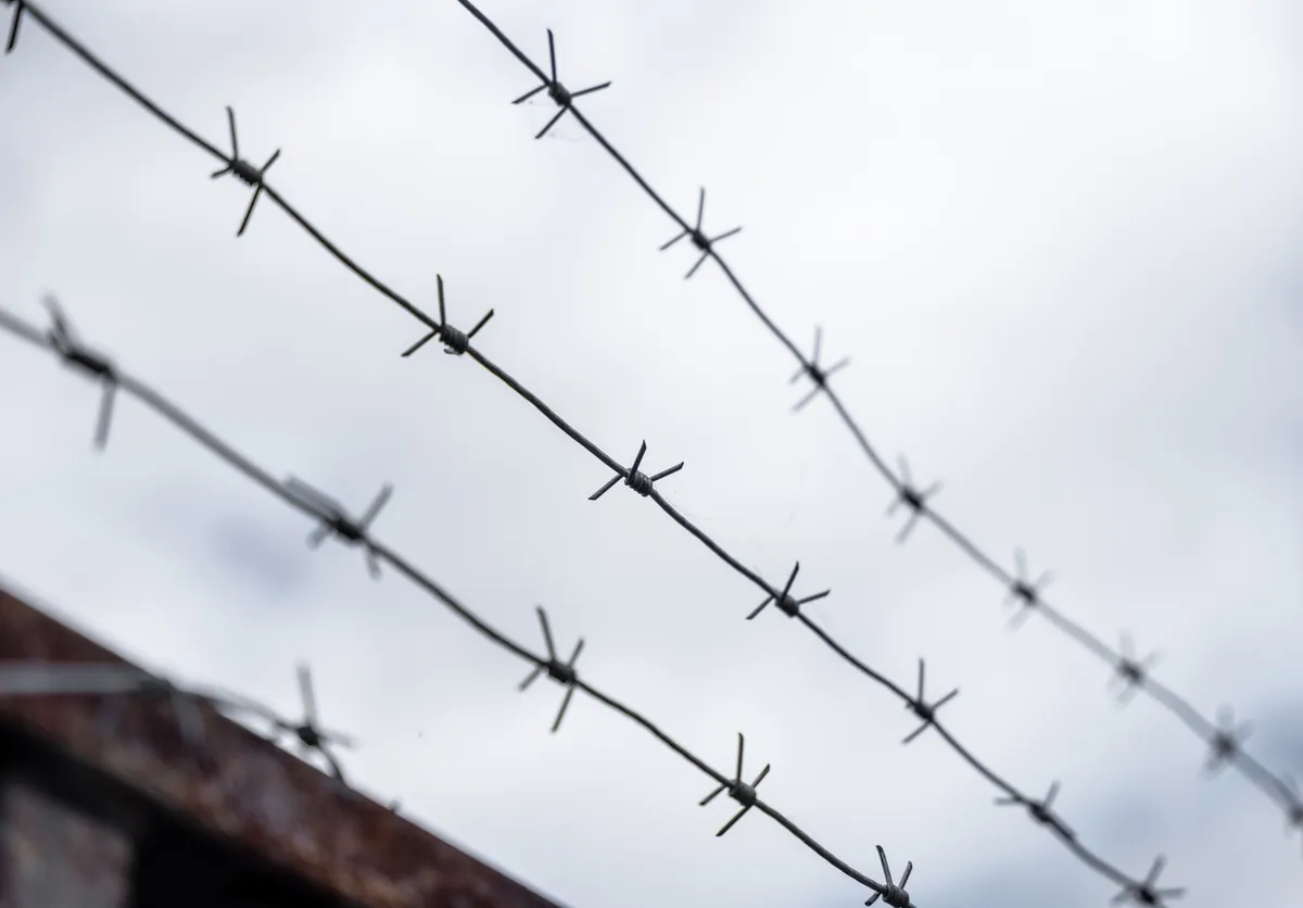barbed wire