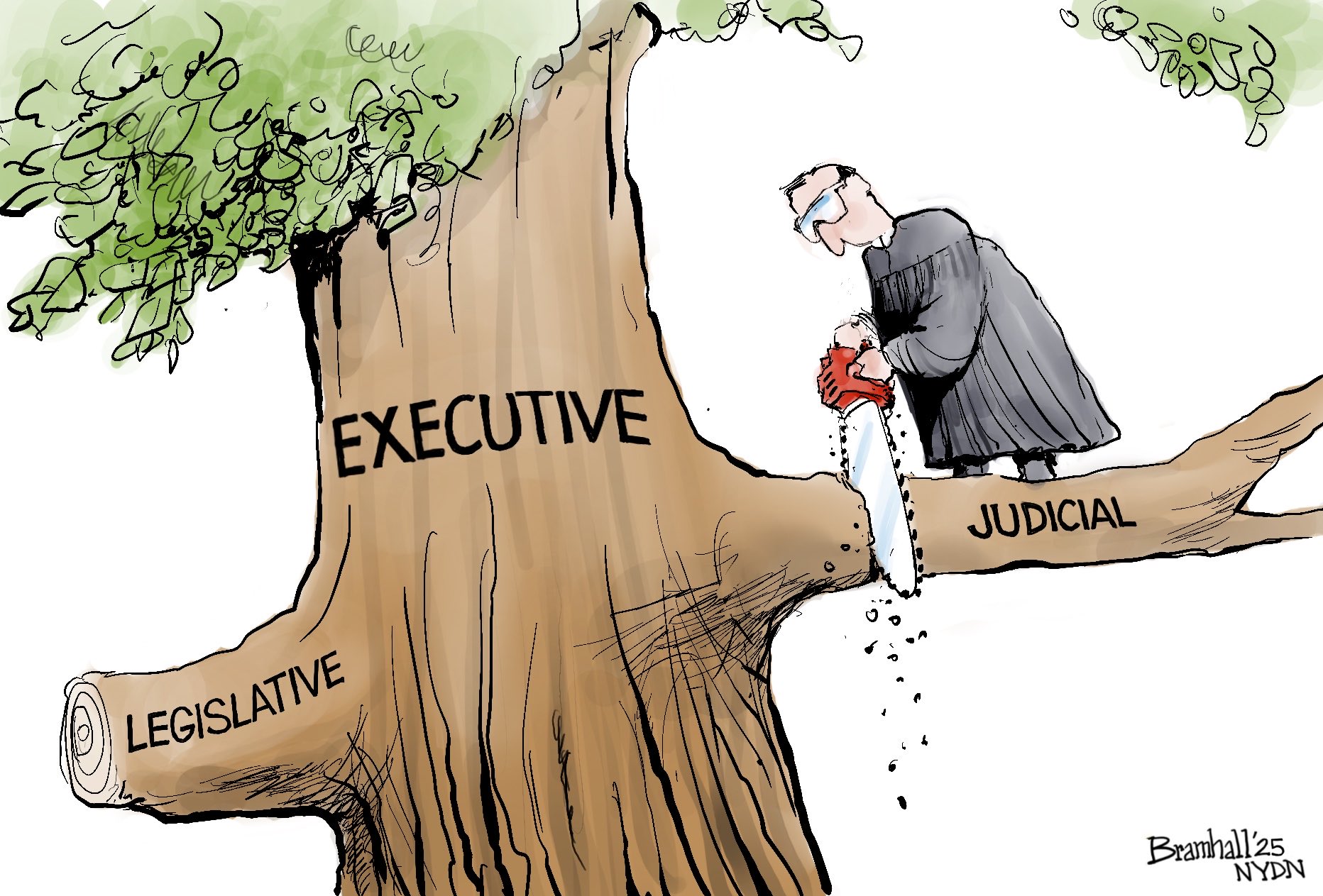 judicial saw