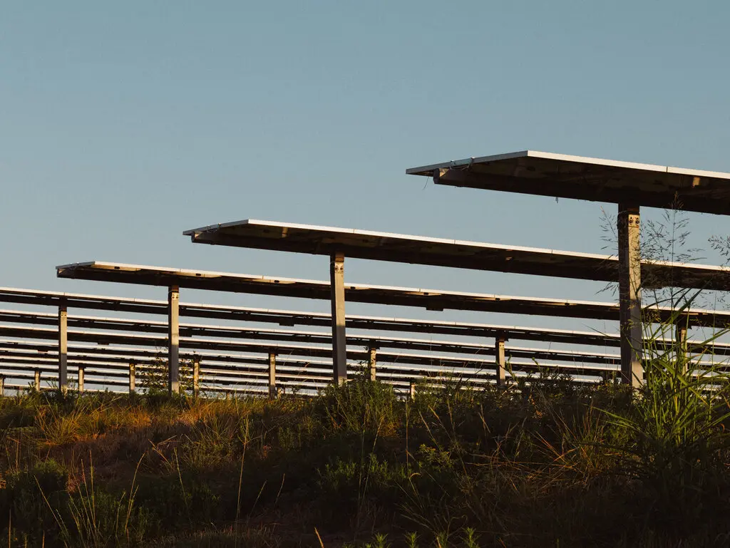 A view of solar panel arrays surrounded by brush.