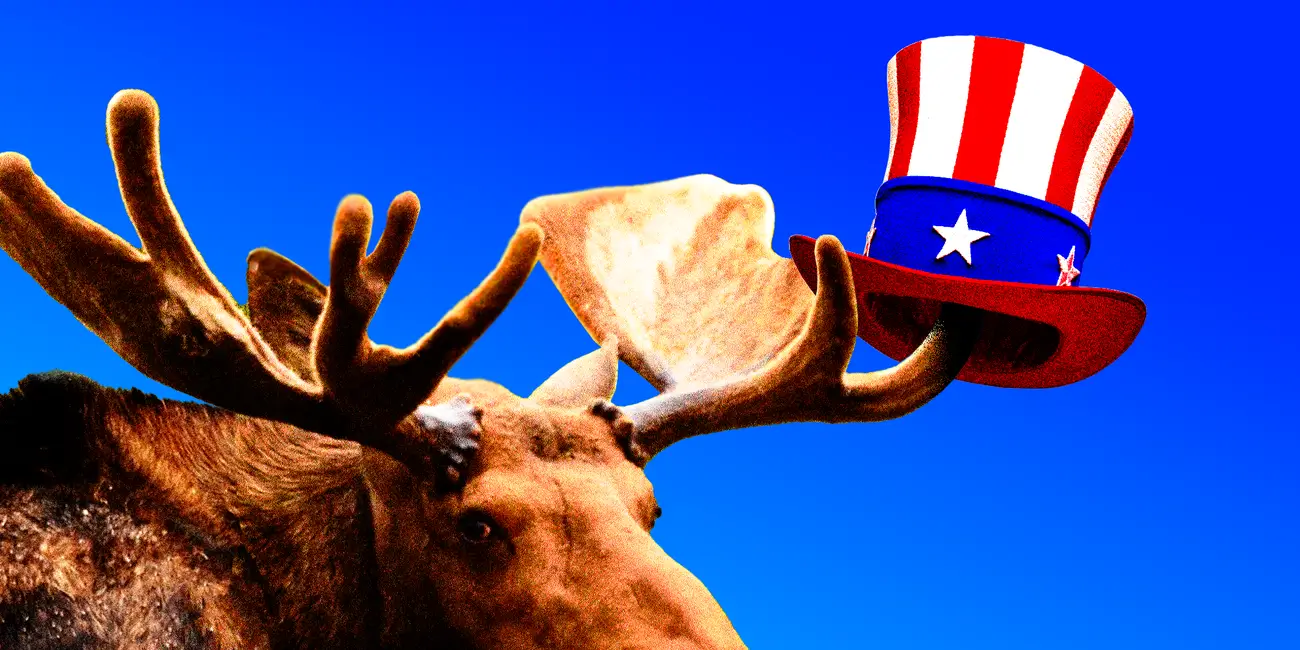 Moose with USA hat on antler