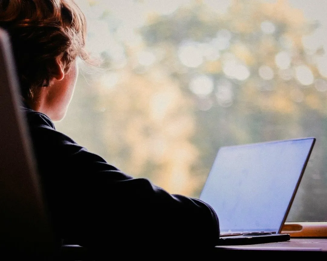 person looking at laptop computer (Photo by simon follin on Unsplash)