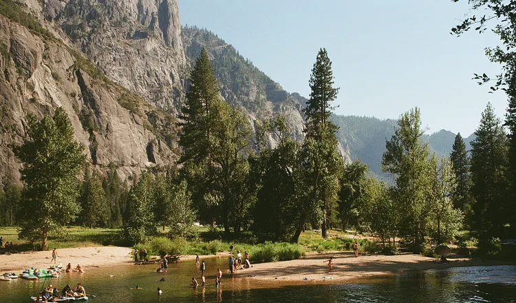 “Yosemite’s flora and fauna are harbingers of a future that has been slashed, privatized, and finally abandoned,” writes Rachel Dec for The Free Press. (Photo by the author)