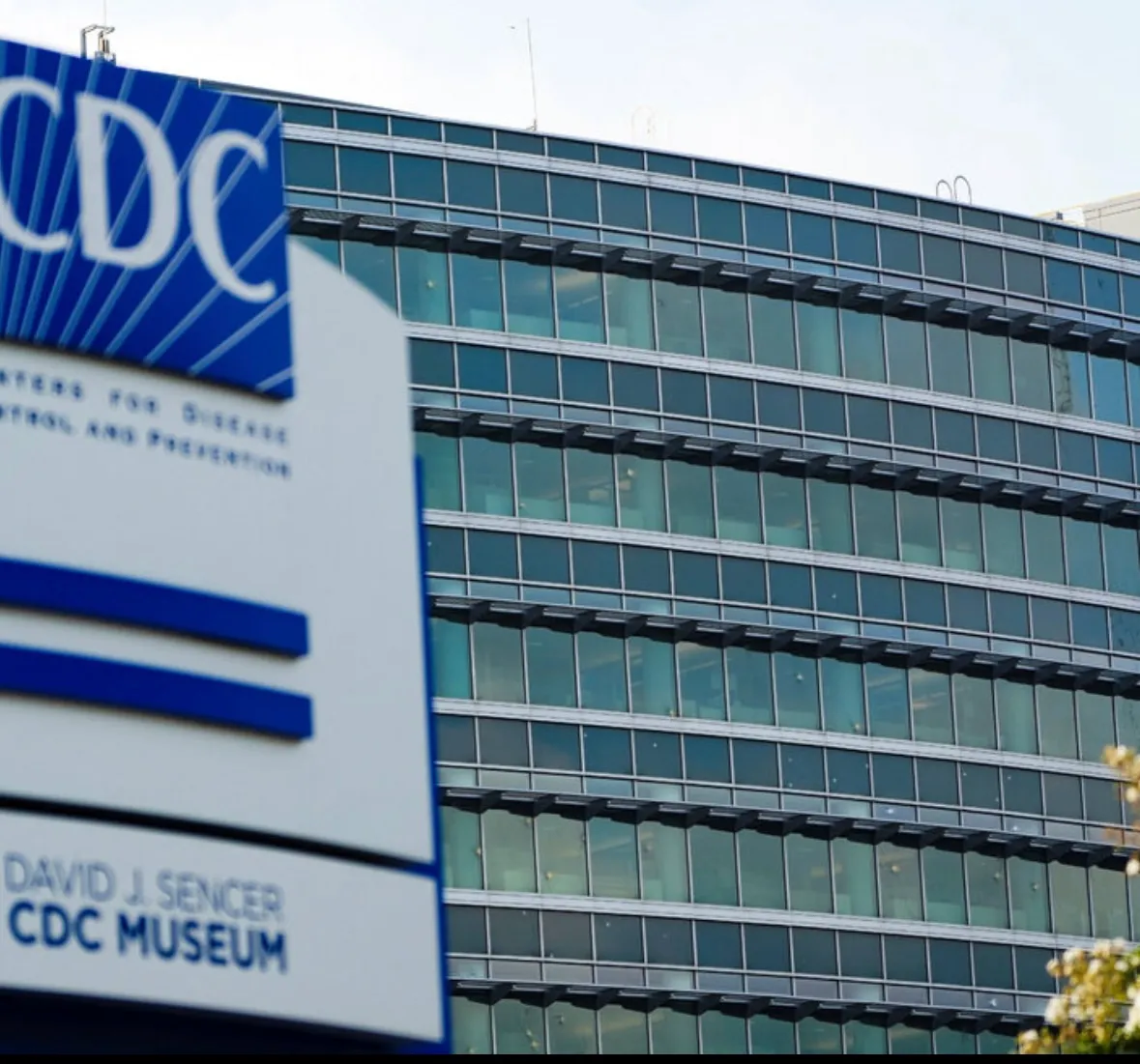 Bullet holes can be seen in the glass windows of the CDC building in Atlanta on Saturday. Credit: Megan Varner/Reuters