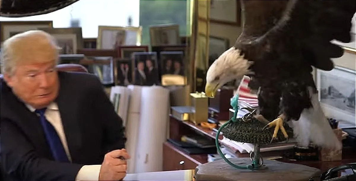 The American Eagle knows the truth. (A video screenshot)