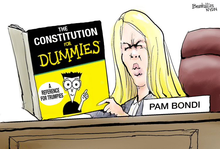 Constitution for Dummies