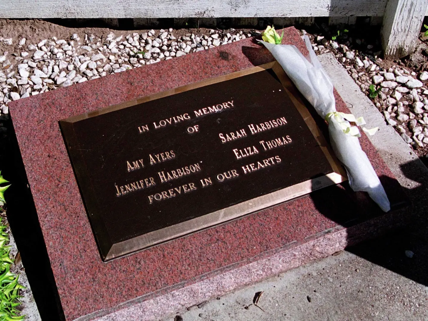 A newly placed yellow rose sits on the memorial for the four victims of the Yogurt shop murders on Anderson Lane.