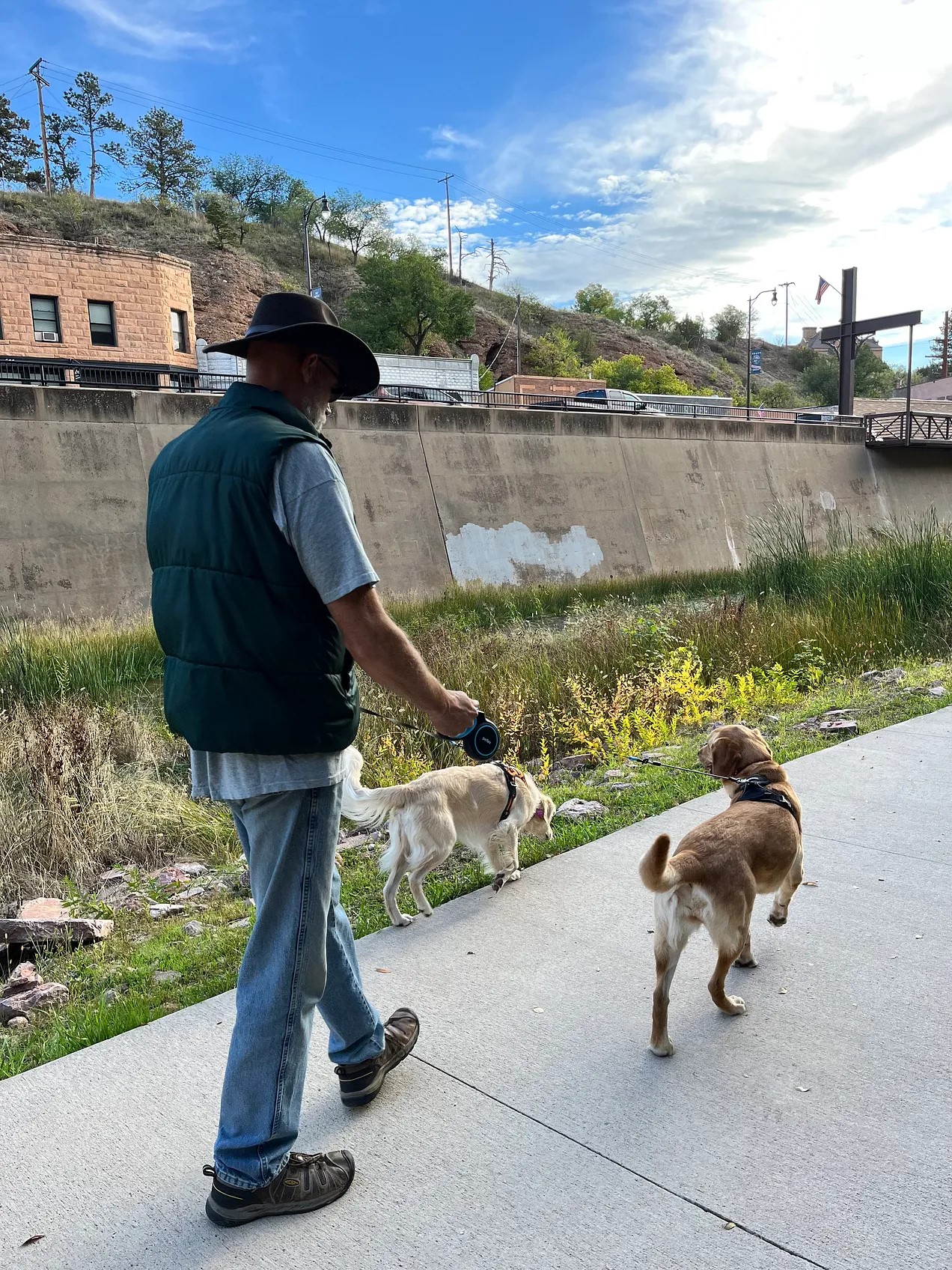 Bengs walking dogs