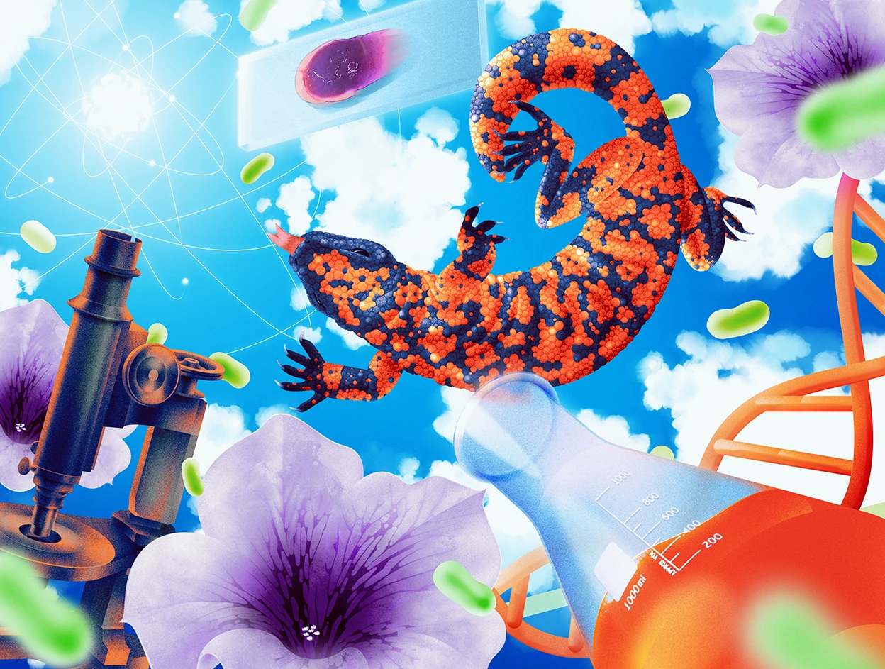 Ibrahim Arafath illustration of basic discoveries Ibrahim Arafath illustration of basic discoveries