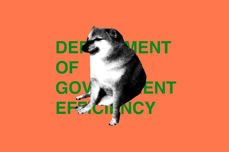 DOGE - Image: Cath Virginia / The Verge