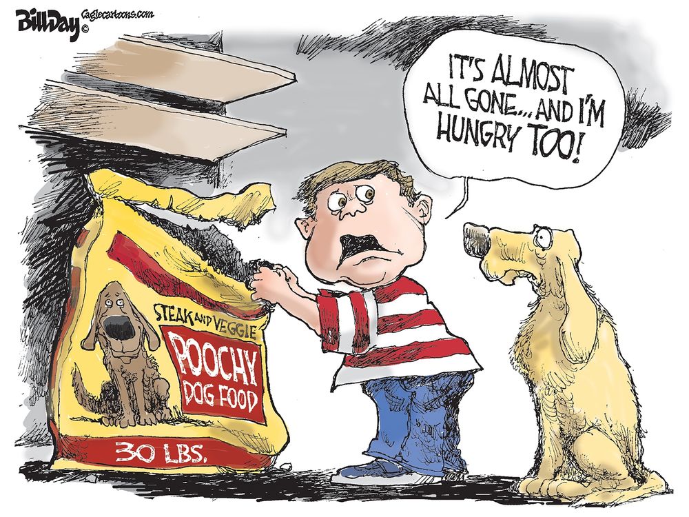 competing for dog food competing for dog food