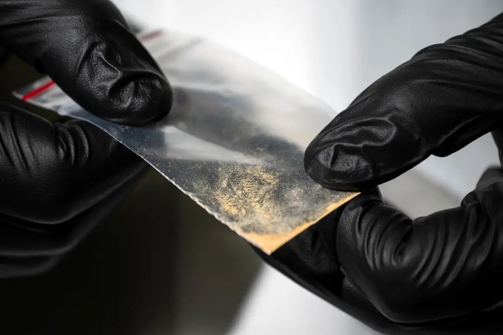 A forensic toxicologist holds a nitazene powder sample at the Center for Forensic Science Research and Education on Oct. 20, 2023 in Willow Grove, Pa. Nitazenes are a class of synthetic opioids typically sold as heroin and are estimated to be several times more potent than fentanyl.Joe Lamberti—The Washington Post via Getty Images