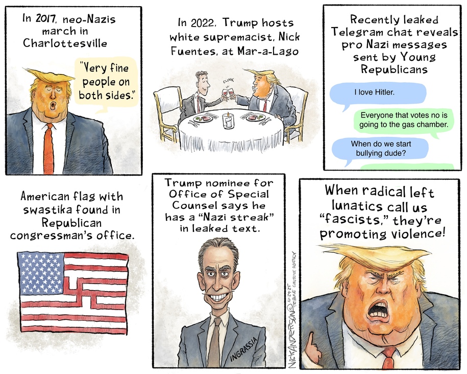 lunatics call us fascists