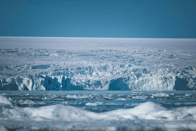 A robot, missing for 9 months, resurfaces with an alarming message