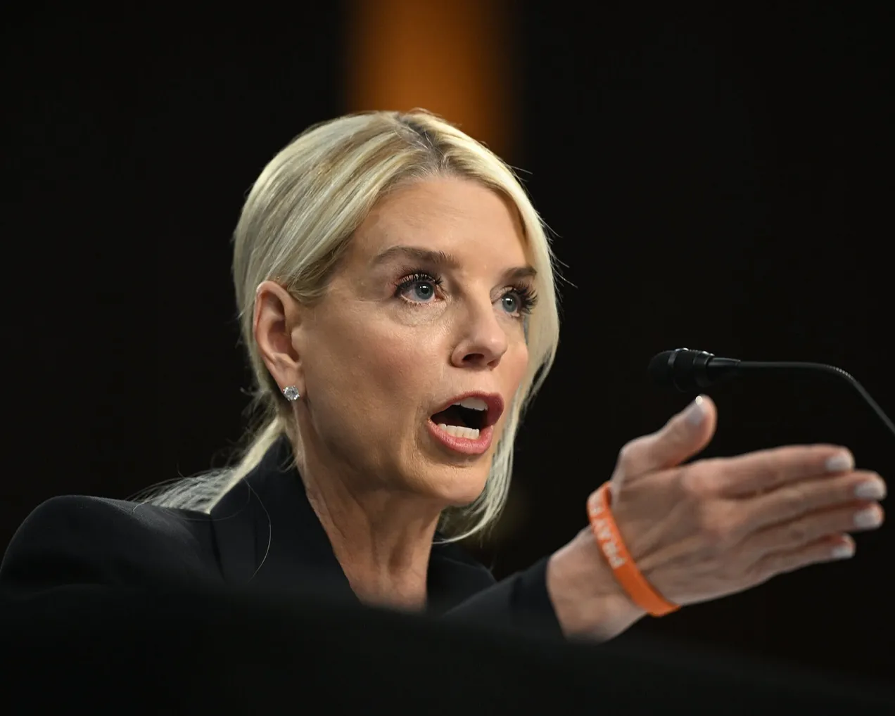 Potential Detainee, Pam Bondi