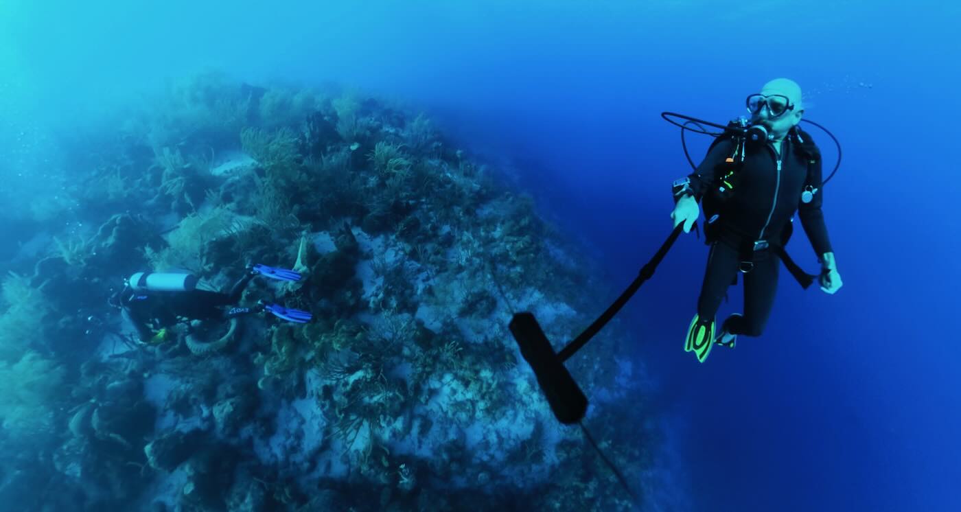 The FishEye Collaborative / Cornell Lab of Ornithology