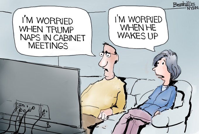cabinet meeting nap worries cabinet meeting nap worries