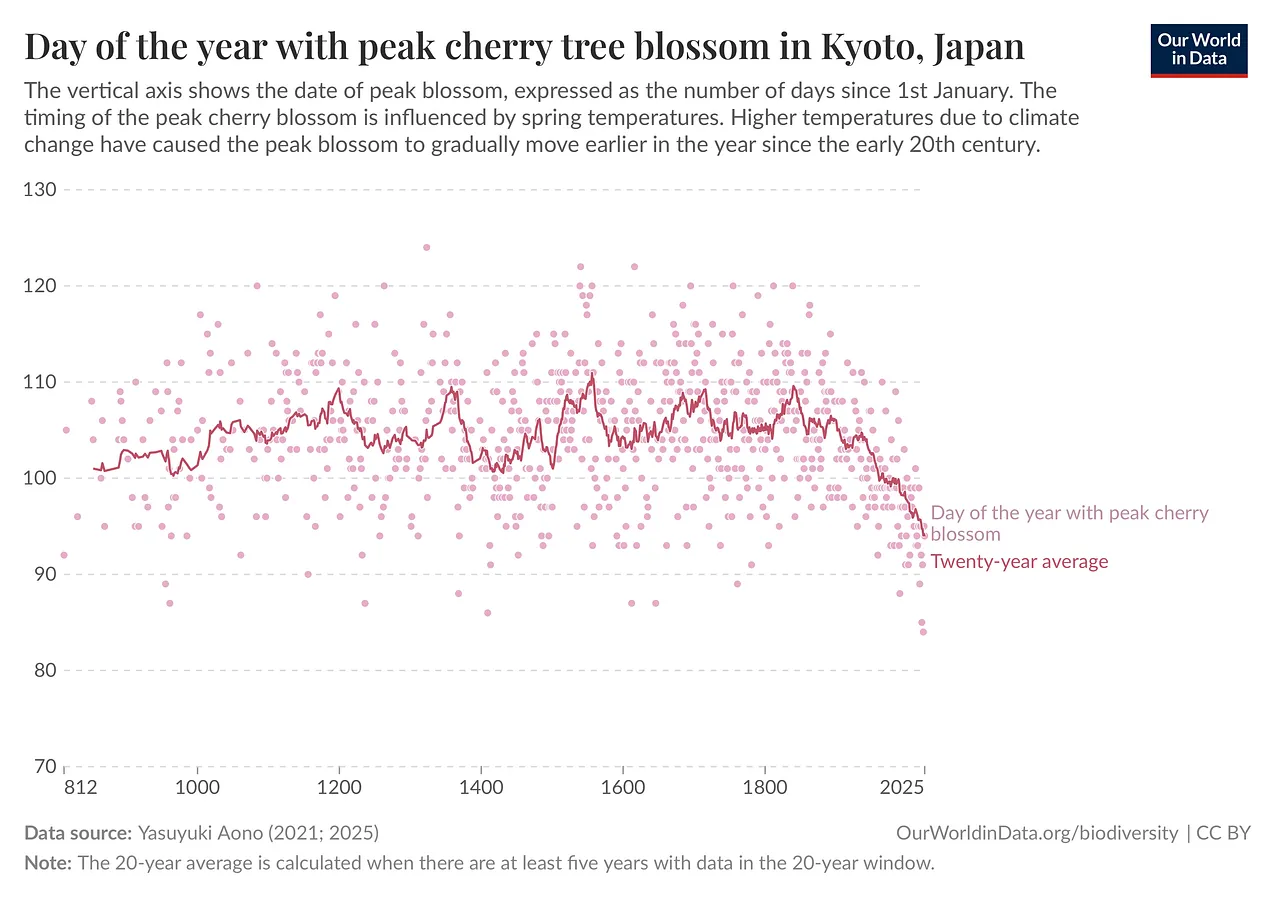 day of the year with peak cherry blossoms in Kyoto