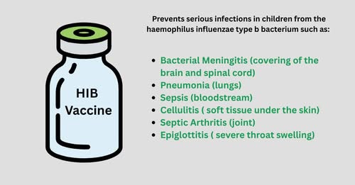 HIB-Vaccine