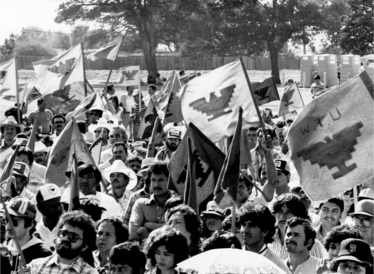 Farm worker rally in the fields, 1984