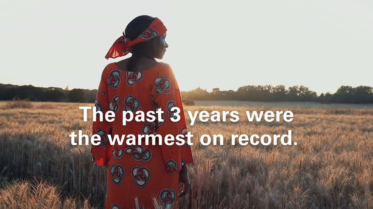 the past 3 years were the warmest on record