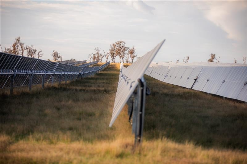 Stubbo solar farm. Image-Acen Australia