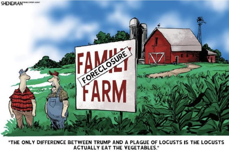 farm fforeclosure