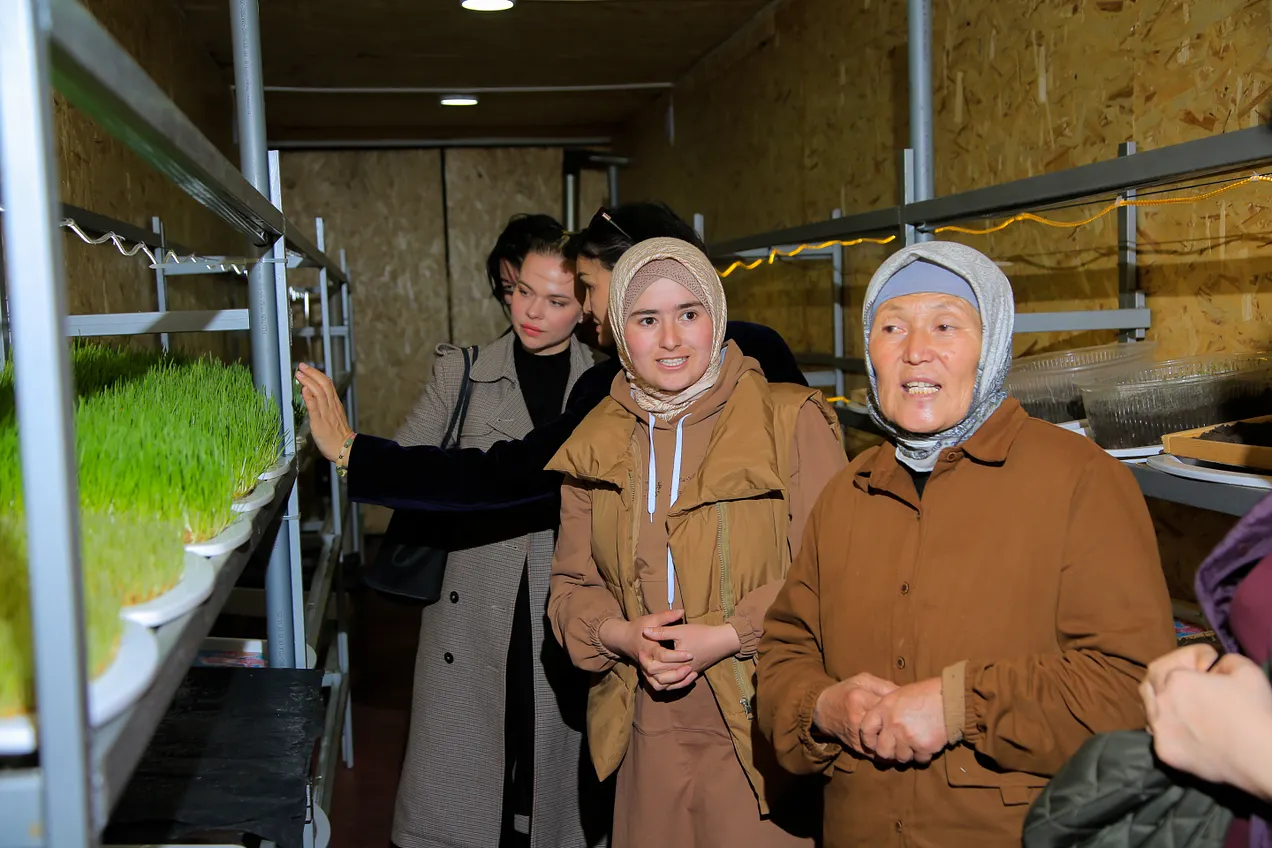 Hydroponic (soil-free horticulture) production of cow fodder in an arid area, community-driven by women of different ethnicities in a border region of Kyrgyzstan. Photo: UN