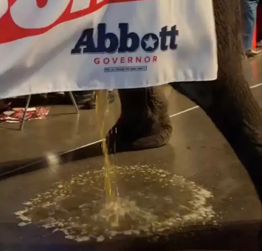 Abbott elephant