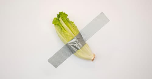 Romaine