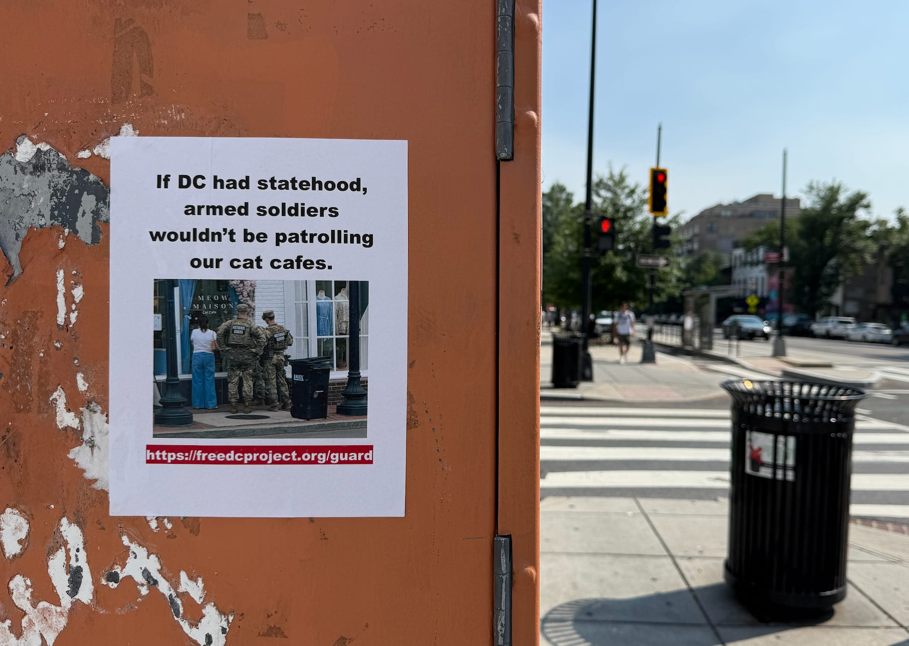 If DC had statehood, armed soldiers wouldn't be patrolling our cat cafes