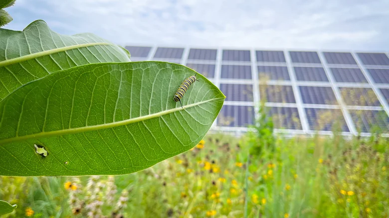 Minnesota solar site - Argonne National Laboratory - Lee Watson