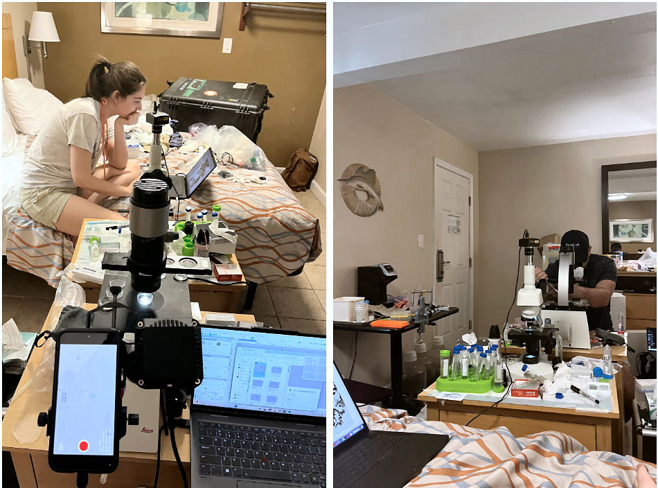 Julia Van Etten, seen from John Burns’s microscope set-up in a motel in North Carolina last year; Dr. Burns, seen from Dr. Van Etten’s bed-top workstation.Credit...via Julia Van Etten Julia Van Etten, seen from John Burns’s microscope set-up in a motel in North Carolina last year; Dr. Burns, seen from Dr. Van Etten’s bed-top workstation.Credit...via Julia Van Etten