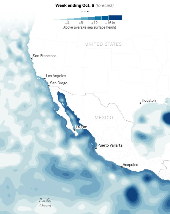 Weekly average sea surface height anomaly compared to a 1993-2025 baseline. Source: Analysis of Copernicus GLORYS data by Dillon Amaya, North Carolina State University. Mira Rojanasakul/The New York Times Weekly average sea surface height anomaly compared to a 1993-2025 baseline. Source: Analysis of Copernicus GLORYS data by Dillon Amaya, North Carolina State University. Mira Rojanasakul/The New York Times